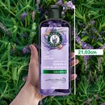 Shampoo-Herbal-Essences-Anti-Frizz-Lavanda-Aceite-de-Almendras-400-ml-10-28428