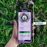 Shampoo-Herbal-Essences-Anti-Frizz-Lavanda-Aceite-de-Almendras-400-ml-10-28428