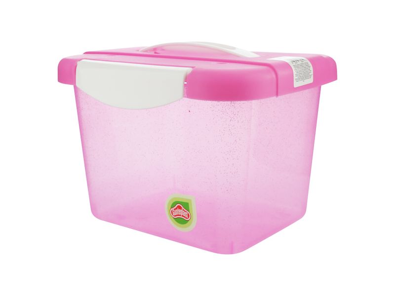 Caja-Organizate-4-Lt-C-Glitter-3-41863