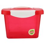 Caja-Organizate-4-Lt-C-Glitter-4-41863