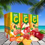 Refresco-Func-6-Pack-1200ml-4-33153
