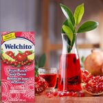 Jugo-Welchito-Fruit-Ponch-200ml-7-9242