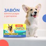 Jabon-Campeon-100gr-5-39110