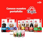 Alimento-Dogui-Perro-Cachorro-2-A-18-Meses-18Kg-5-25837