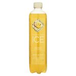 Sparkling-Ice-Pina-Coco-500-Ml-1-20325