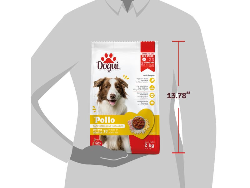 Alimento-Dogui-Perro-Adulto-Sabor-Pollo-Y-Arroz-18-Meses-En-Adelante-2kg-3-2787