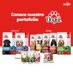 Alimento-Dogui-Perro-Adulto-Sabor-Pollo-Y-Arroz-18-Meses-En-Adelante-2kg-7-2787