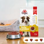 Alimento-Dogui-Perro-Adulto-Sabor-Pollo-Y-Arroz-18-Meses-En-Adelante-2kg-8-2787