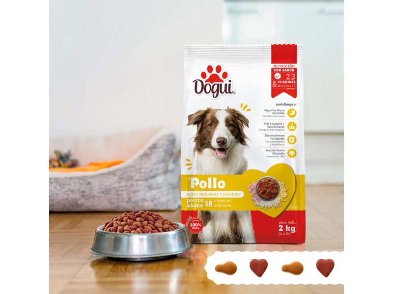 Alimento-Dogui-Perro-Adulto-Sabor-Pollo-Y-Arroz-18-Meses-En-Adelante-2kg-8-2787