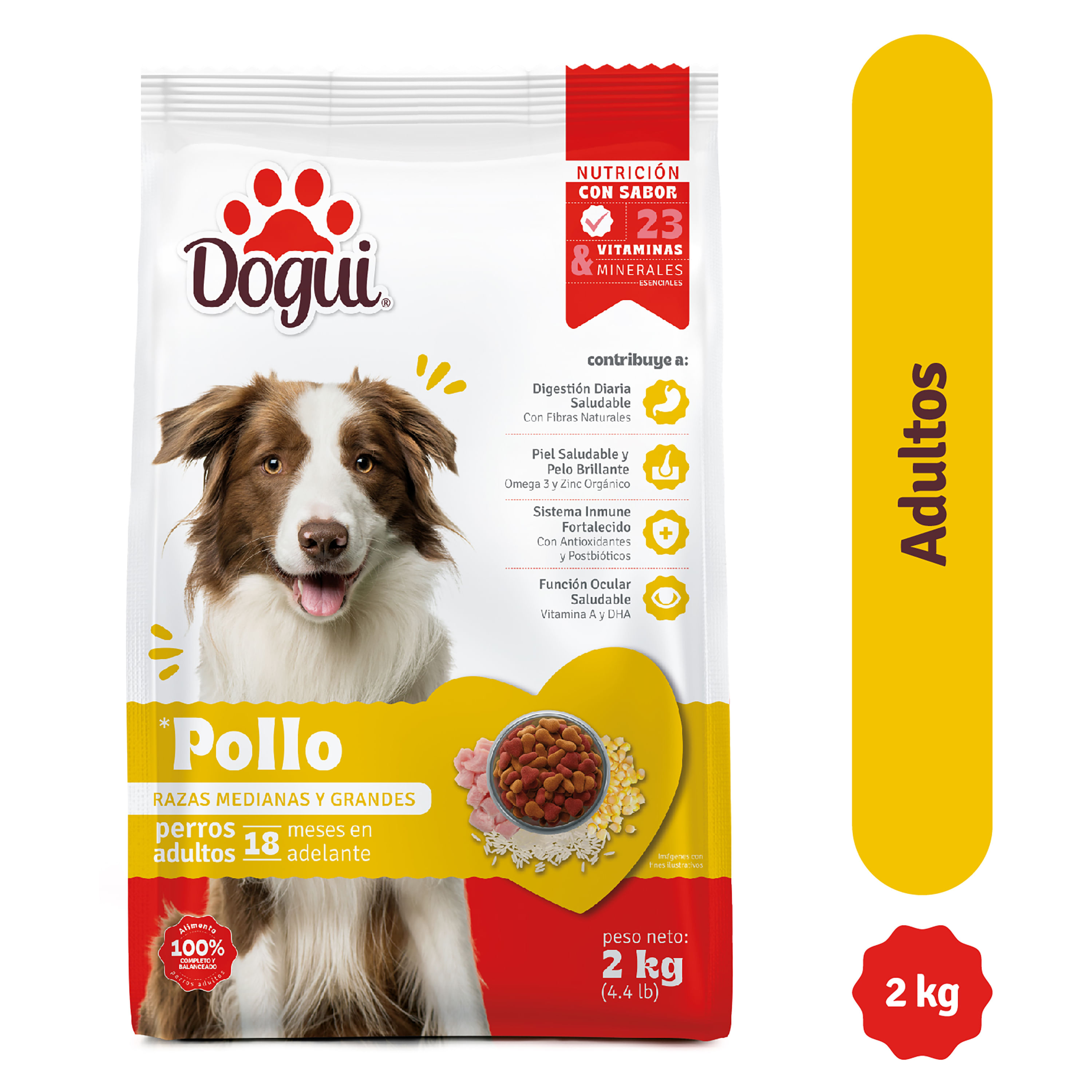 Alimento-Dogui-Perro-Adulto-Sabor-Pollo-Y-Arroz-18-Meses-En-Adelante-2kg-1-2787