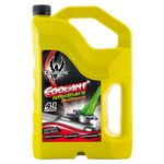 Coolant-Refrigerante-Antifreeze-Ebullient-4100Ml-1-12449