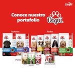 Comida-Dogui-Prro-Perro-Adulto-Sabor-Pollo-Carne-Y-Vegetales-18-Meses-En-Adelante-2kg-6-2788