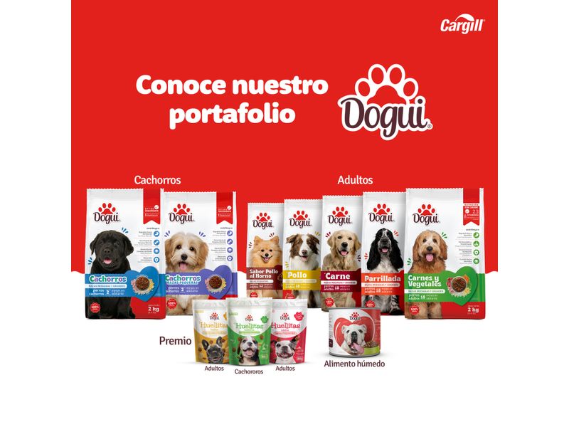 Comida-Dogui-Prro-Perro-Adulto-Sabor-Pollo-Carne-Y-Vegetales-18-Meses-En-Adelante-2kg-6-2788