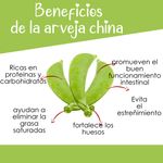 Arveja-China-8-Oz-3-10421