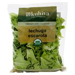 Lechuga-Escarola-Hurtifruti-Organica-8-Onzas-1-19487