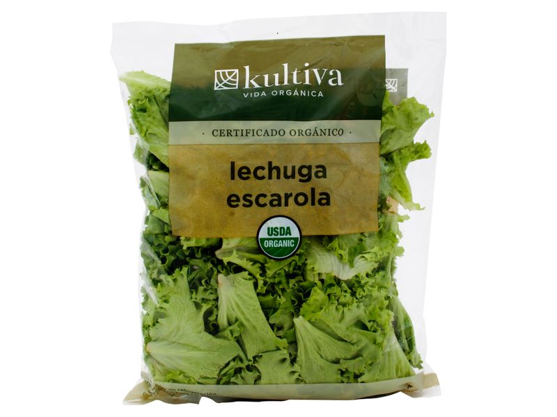 Lechuga-Escarola-Hurtifruti-Organica-8-Onzas-1-19487