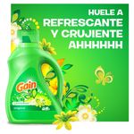 Detergente-L-quido-Gain-Original-1-36litros-5-25481
