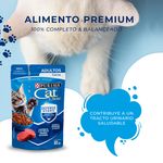 Alimeto-H-medo-Gato-Purina-Cat-Chow-Defense-Hydro-Adultos-Carne-85g-8-34746