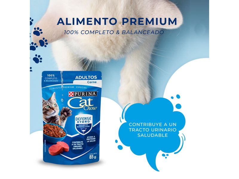 Alimeto-H-medo-Gato-Purina-Cat-Chow-Defense-Hydro-Adultos-Carne-85g-8-34746