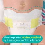 Pa-ales-Pampers-Preemie-Swaddlers-Talla-P-1-2-7kg-27Uds-7-15732