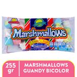 Marsmelos-Marca-Guandy-Bicolor-255g-1-11791