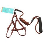 Set-Chucho-Multicolor-Pequeno-Mascota-1U-1-10330