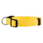 Collar-Para-Perro-Suli-4-37459