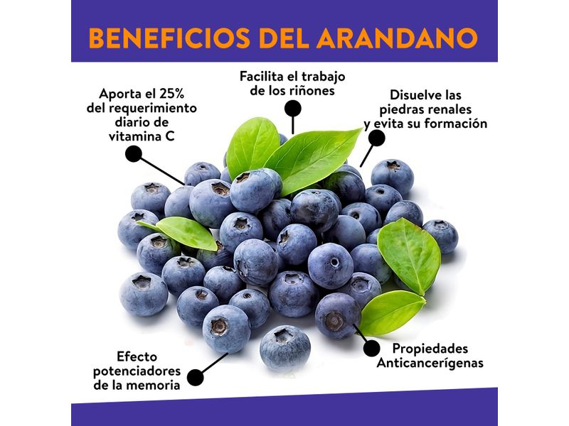 Arandanos-Org-3-30778