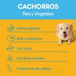 Alimento-Seco-Para-Cachorros-Pedigree-Res-y-Vegetales-2Kg-4-11370