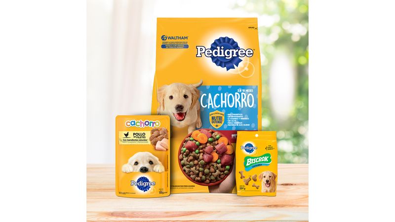 es purina alpo bueno para perros