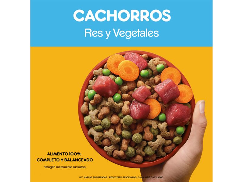 Alimento-Seco-Para-Cachorros-Pedigree-Res-y-Vegetales-2Kg-10-11370