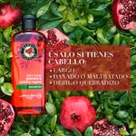 Shampoo-Herbal-Essences-Pelo-Largo-Granada-Prote-na-Vegana-400-ml-5-28430