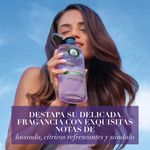 Acondicionador-Herbal-Essences-Anti-Frizz-Lavanda-Aceite-de-Almendras-400-ml-6-28429