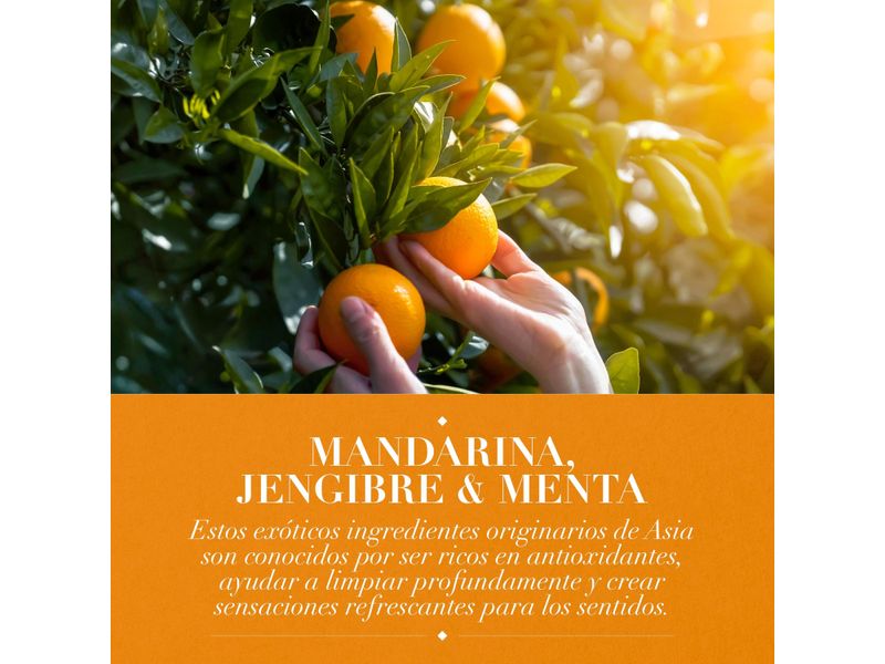 Acondicionador-Herbal-Essences-Frescura-Mandarina-Jengibre-Menta-400-ml-4-28433