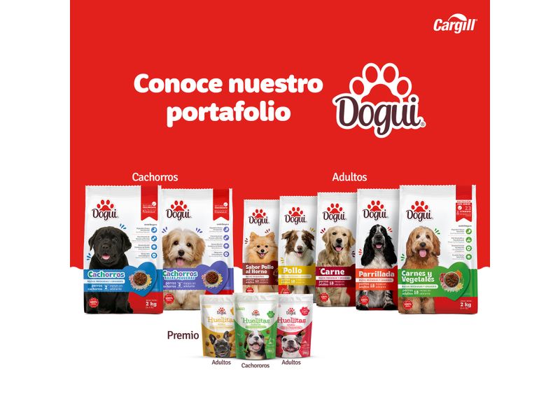 Alimento-Dogui-Perro-Adulto-Sabor-Carne-Y-Arroz-18-Meses-En-Adelante-4kg-5-599