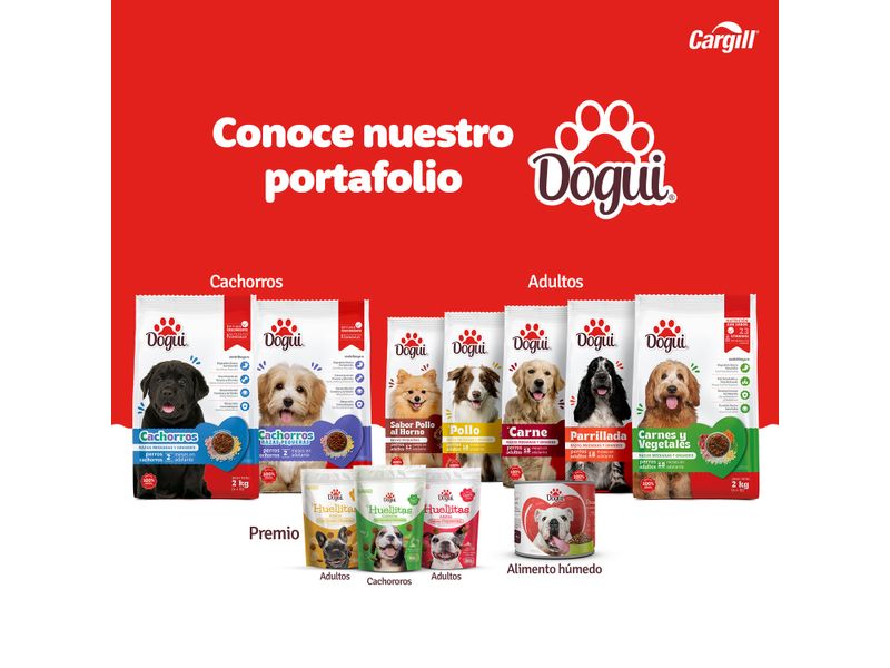 Alimento-Dogui-Perro-Adulto-Sabor-Carne-Y-Arroz-18-Meses-En-Adelante-4kg-6-599