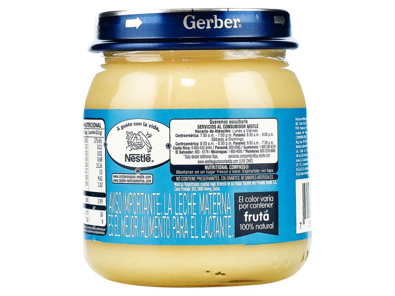 Gerber-Paso-2-Pure-Platano-24-113Gr-N1Xp-5-22042