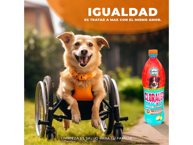 Limpiador-Desinfectante-Cloralex-Mascotas-Exteriores-Botella-950Ml-4-8658