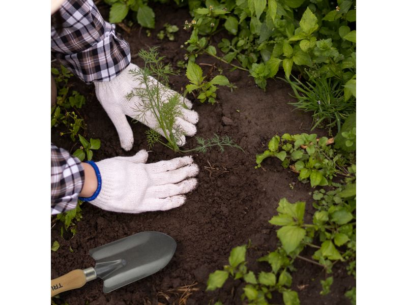 Cuchara-Para-Jardin-8-6504