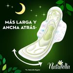 Naturella-Nocturno-T5-Alas-14ea-4-40782