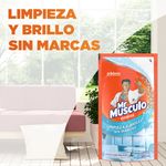 Limpia-Vidrios-Mr-M-sculo-Windex-Repuesto-Econ-mico-Doy-Pack-500ml-7-10844