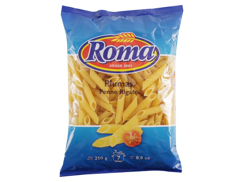 Pasta-Mediana-Roma-Plumas-Paquete-250gr-1-2833