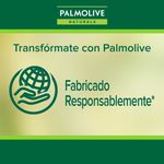 3-Pack-Jab-n-Palmolive-Naturals-Avena-y-Az-car-Morena-100G-4-24185