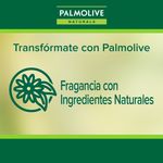 3-Pack-Jab-n-Palmolive-Naturals-Avena-y-Az-car-Morena-100G-6-24185