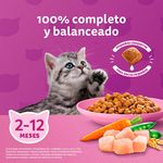 Alimento-Seco-Para-Gatito-Whiskas-Pollo-1-4Kg-7-15385