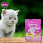 Alimento-Seco-Para-Gatito-Whiskas-Pollo-1-4Kg-12-15385