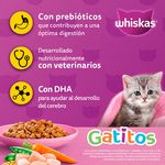 Alimento-Seco-Para-Gatito-Whiskas-Pollo-1-4Kg-8-15385