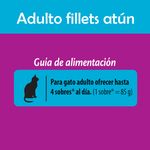 Alimento-Whiskas-Wet-At-n-Adulto-85g-5-19679