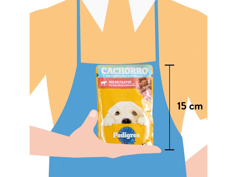 Alimento-Humedo-Perro-Pedigree-Cachorro-Res-100G-4-13894