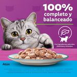 Alimento-Whiskas-Wet-At-n-Adulto-85g-9-19679